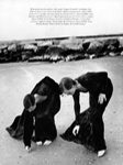 Harper's Bazaar (USA-1993) Harper's Bazaar (USA-1993)