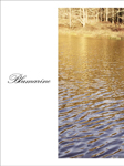 Blumarine (-2018)