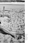 Harper's Bazaar (USA-2020) Harper's Bazaar (USA-2020)