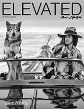 Elevated (USA-Spring 2021)