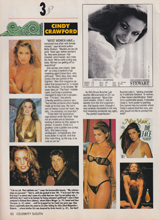 Celebrity Sleuth (USA-Vol 3-1990)