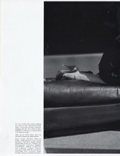 Pop (UK-Fall Winter 2005)