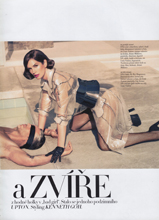 Harper's Bazaar (Czech Republik-November 2011)