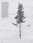 In Focus (USA-February 2021)