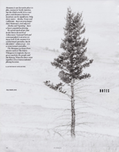 In Focus (USA-February 2021)