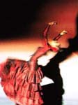Austellung (Germany-1991) Austellung (Germany-1991)