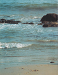  (Book-1997)