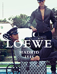 Loewe (-2009)