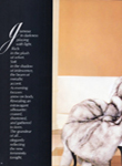 Saks Fith Avenue (-1987)