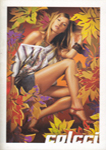 Colcci (-2006) Colcci (-2006)