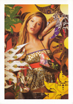 Colcci (-2006) Colcci (-2006)
