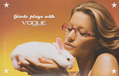 Vogue Eyewear (-2006) Vogue Eyewear (-2006)