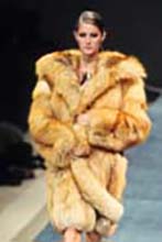 Yves St Laurent (-1999)