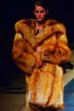 Yves St Laurent (-1999)