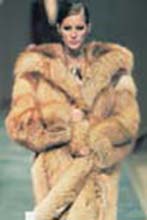 Yves St Laurent (-1999)
