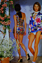 D&G (-2000)