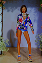 D&G (-2000)