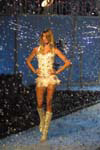 Victoria's Secret (-2001) Victoria's Secret (-2001)