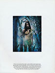 Harper's Bazaar (USA-1998) Harper's Bazaar (USA-1998)