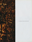 The Face (UK-1999) The Face (UK-1999)
