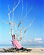 Vogue (USA-April 1999)