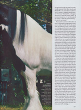 Vogue (USA-March 2001)