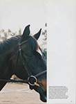 Vogue (UK-2004) Vogue (UK-2004)