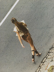 Vogue (Brazil-2005)