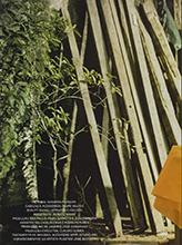 Vogue (Brazil-January 2005)