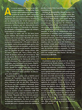 Gloss (Brazil-October 2008)