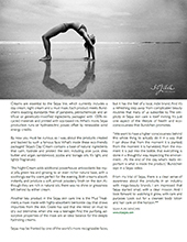 Coco Eco (USA-January 2011)