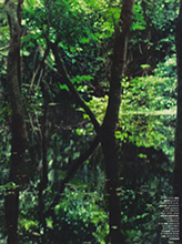 Vogue (Brazil-July 2011)