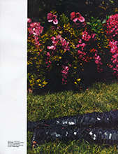 Lui (France-June 2014)
