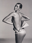 Nigel Barker's Book Model of influence (USA-2015) Nigel Barker's Book Model of influence (USA-2015)