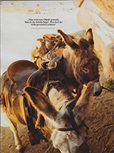 Stern (Germany-8 October 2015)