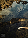 Vogue (Germany-2019) Vogue (Germany-2019)
