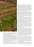 Marie-Claire (USA-2020) Marie-Claire (USA-2020)