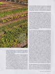 Marie-Claire (Greece-2020) Marie-Claire (Greece-2020)