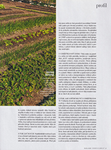 Marie-Claire (Czech Republik-May 2020)
