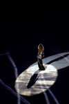 2016 08 05 - Rio Olympics at Maracana Stadium in Rio De Janeiro, Brazil (2016) 2016 08 05 - Rio Olympics at Maracana Stadium in Rio De Janeiro, Brazil (2016)