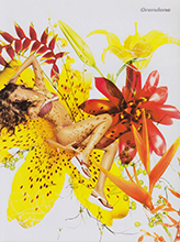 Ipanema (-2004)