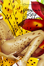 Ipanema (-2004)