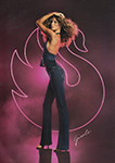 Gloria Vanderbilt Jeans (-2005)