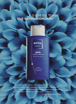 Nivea (-2005)
