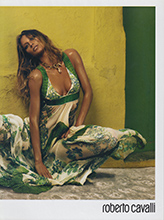 Roberto Cavalli (-2007)