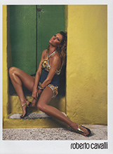 Roberto Cavalli (-2007)