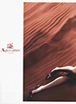 Aquascutum (-2008)