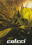 Colcci (-2009)