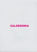 Calzedonia (-2009)