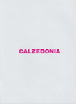 Calzedonia (-2010)